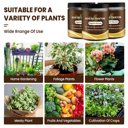⏰ Sale 60% OFF🔥 Soil Pro Activator 🌱 Revive Your Soil, Boost Plant Growth Naturally