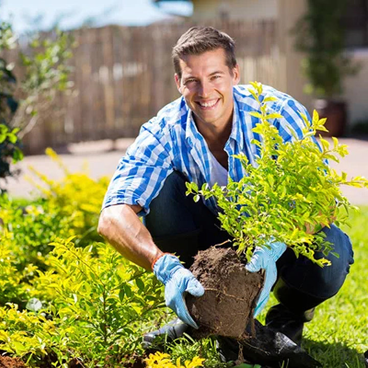 ⏰ Sale 60% OFF🔥 Soil Pro Activator 🌱 Revive Your Soil, Boost Plant Growth Naturally