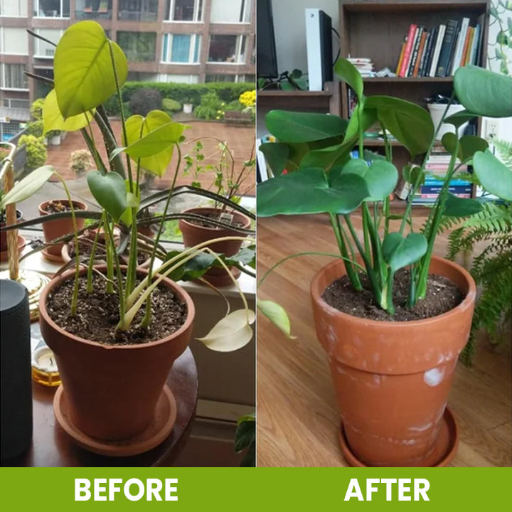 ⏰ Sale 60% OFF🔥 Soil Pro Activator 🌱 Revive Your Soil, Boost Plant Growth Naturally