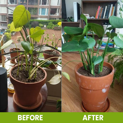 ⏰ Sale 60% OFF🔥 Soil Pro Activator 🌱 Revive Your Soil, Boost Plant Growth Naturally