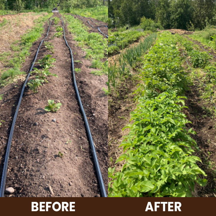 ⏰ Sale 60% OFF🔥 Soil Pro Activator 🌱 Revive Your Soil, Boost Plant Growth Naturally