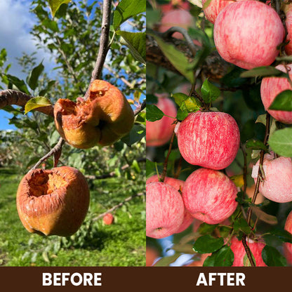 ⏰ Sale 60% OFF🔥 Soil Pro Activator 🌱 Revive Your Soil, Boost Plant Growth Naturally