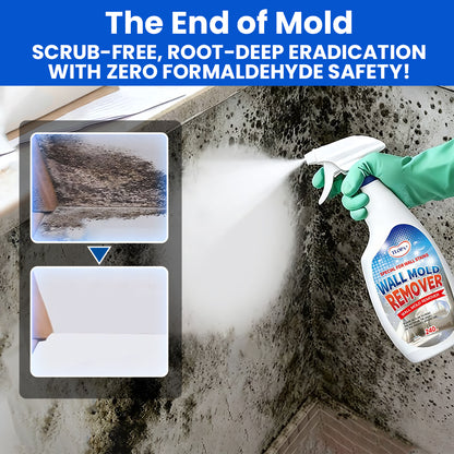 🔥NEW UPGRADED VERSION: 60% OFF + FREESHIPPING🔥TLOPA® Fast Acting Anti-Mold Wall Cleaner Spray