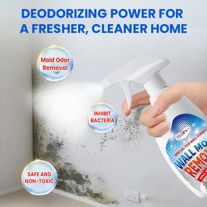 🔥NEW UPGRADED VERSION: 60% OFF + FREESHIPPING🔥TLOPA® Fast Acting Anti-Mold Wall Cleaner Spray